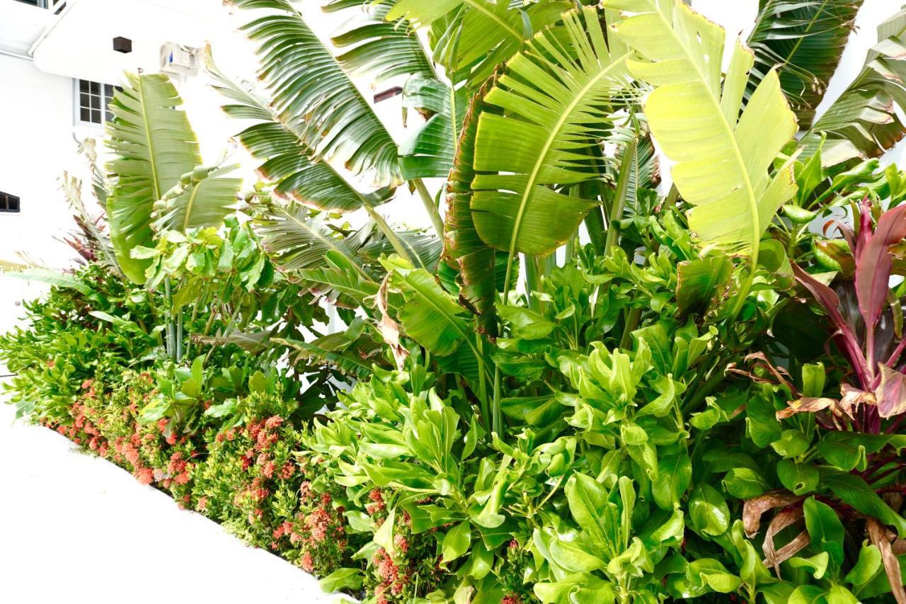 Ocean View Hotel And Restaurant Gravel Bay المظهر الخارجي الصورة